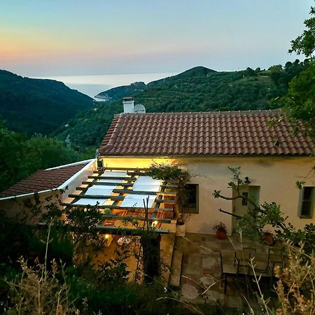 סקופלוס טאון Olive Mill Cottage מראה חיצוני תמונה